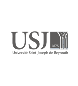 Partner institution logo
